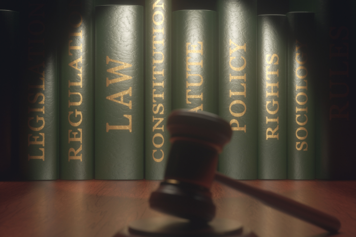 Criminal Defense Law