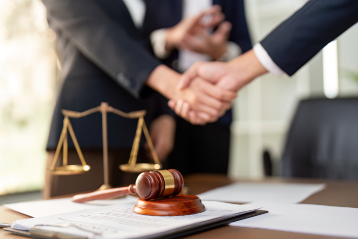 Intellectual Property Protection Service